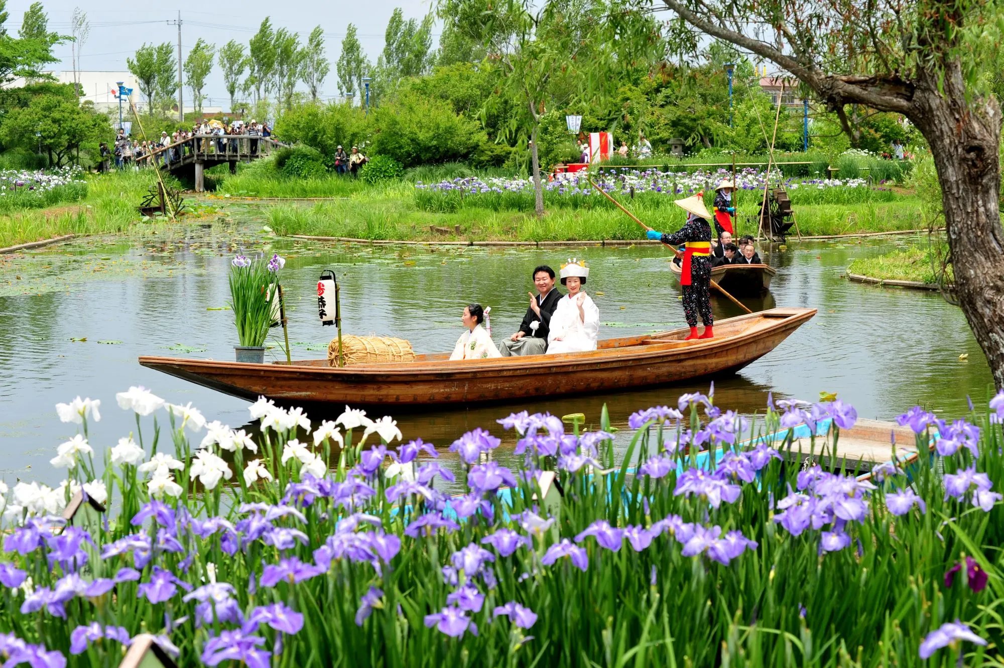 🌸 스이고 사와라 아야메 파크 이미지 8